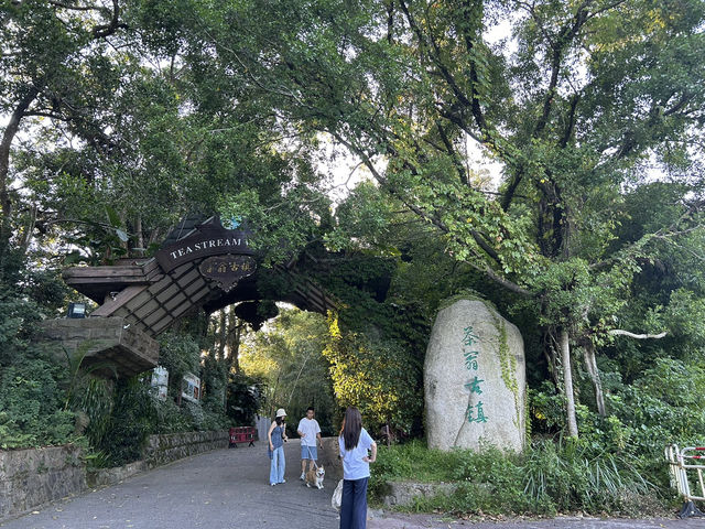 🍃 東部華僑城＆茶翁古鎮｜遠離塵囂、親近湖光山色