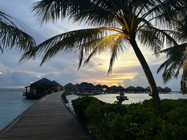Escape to Adaaran Prestige Vadoo for Romance and Privacy