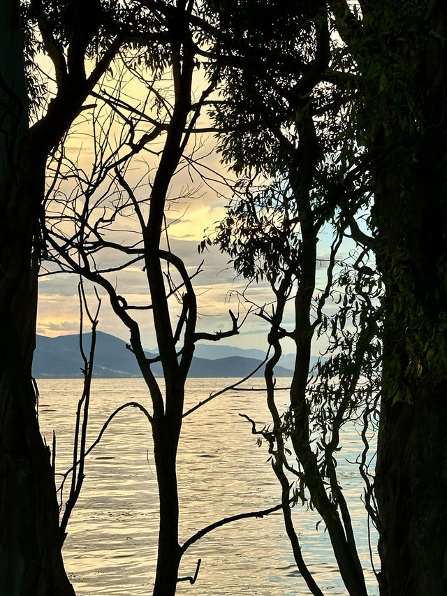 掉進油畫陷阱