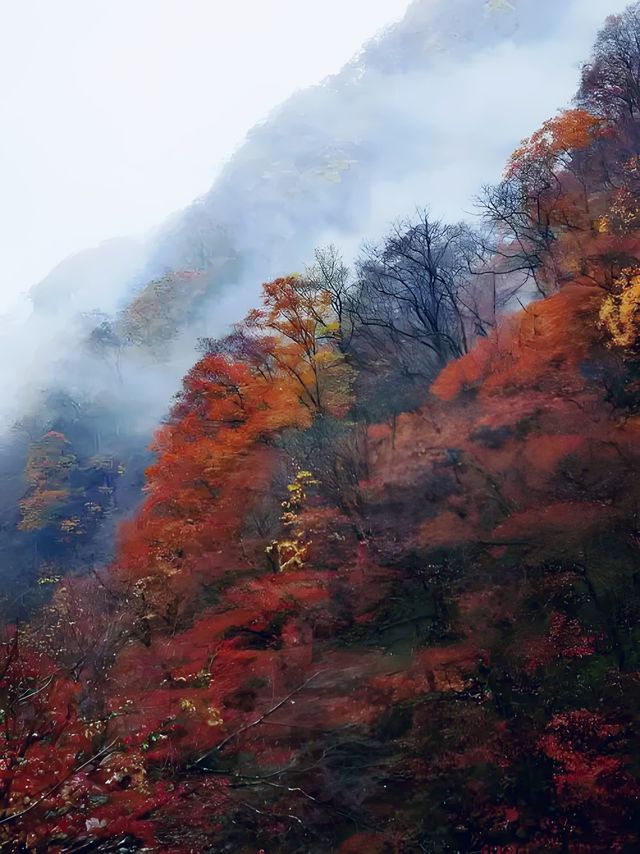 徒步愛好者天堂 | 穿越光霧山精華路段