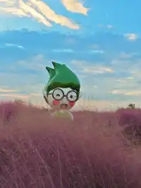 上海秋日限定浪漫，週末快衝！附攻略
