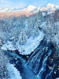 北海道6天5晚赴一場粉雪與藍調之約