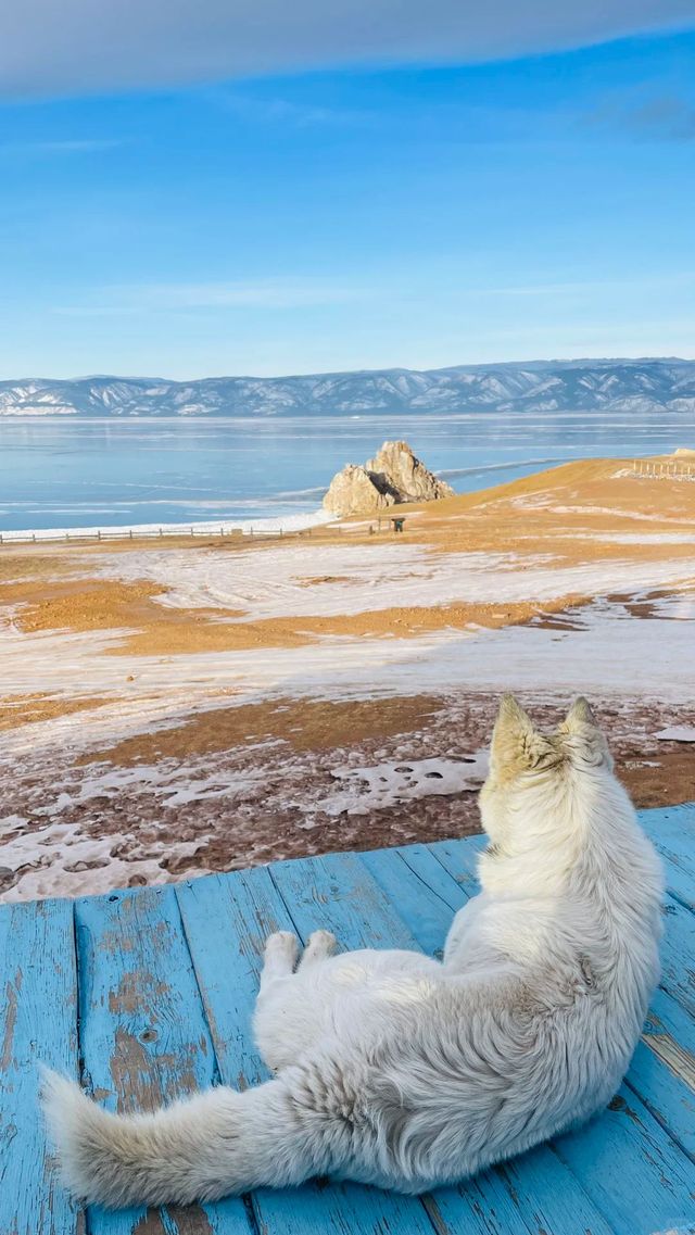 俄羅斯6日遊超省心攻略