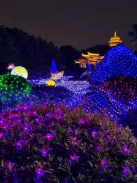 廈門夜遊頂流！園博苑花燈每週末限定浪漫