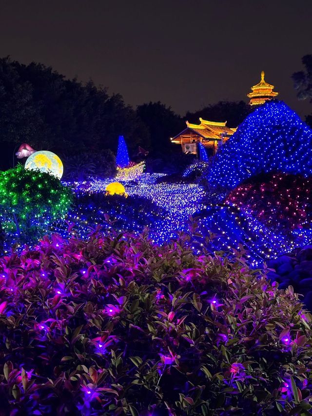廈門夜遊頂流！園博苑花燈每週末限定浪漫