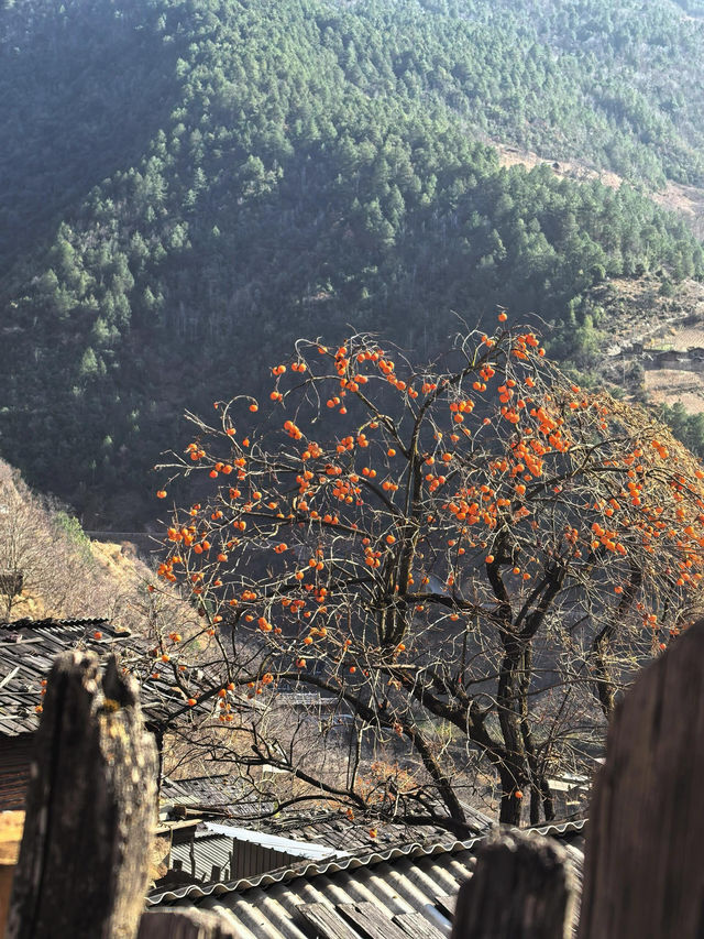 傈僳族古寨的千年密碼與秘境指南 傈僳族古寨的千年密碼與秘境指南