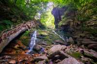 沈白高鐵票享景區半價