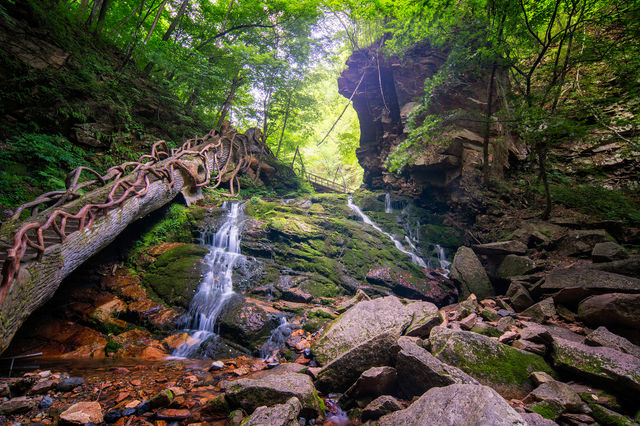 沈白高鐵票享景區半價