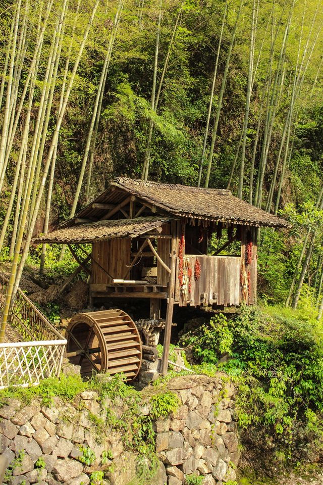 以為松陽夠靚喇,估唔到呢度先係江南嘅秘境 以為松陽夠靚喇,估唔到呢度先係江南嘅秘境