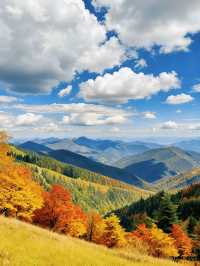 秋日三清山｜在雲海紅葉間邂逅神仙日子