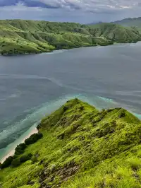 我宣佈科莫多就是人間塞爾達