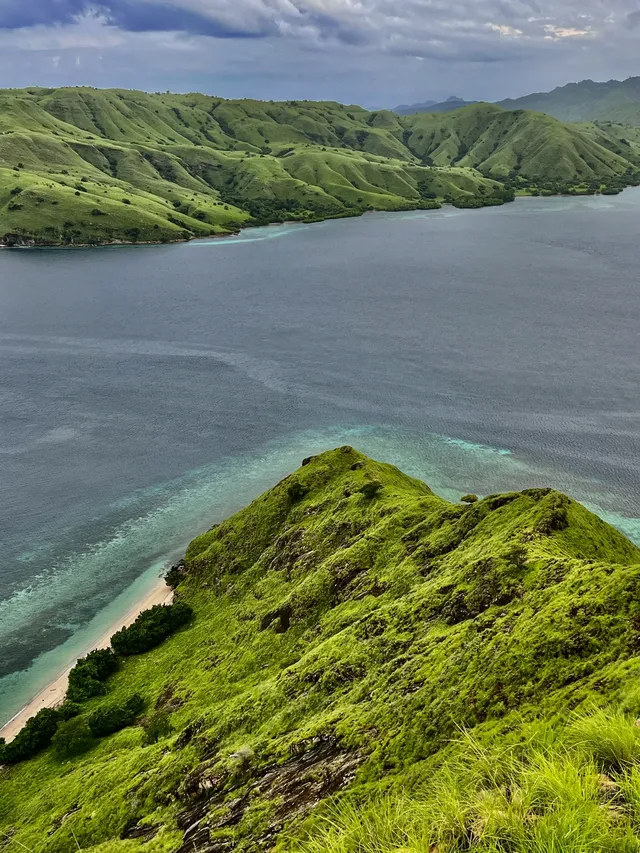 我宣佈科莫多就是人間塞爾達