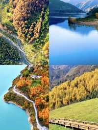 神木壘川西秘境中的森林、草甸與雪山盛宴