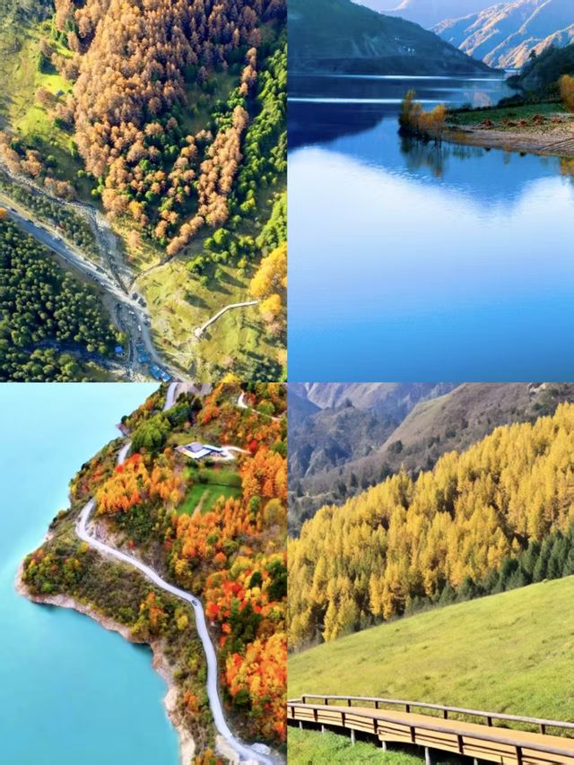 神木壘川西秘境中的森林、草甸與雪山盛宴