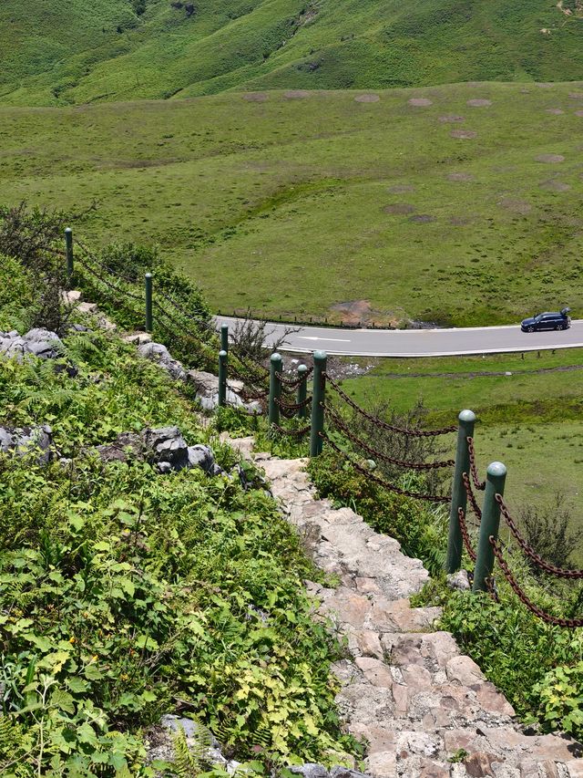 阿西里西大草原：把風揉成浪，把浪漫種滿坡