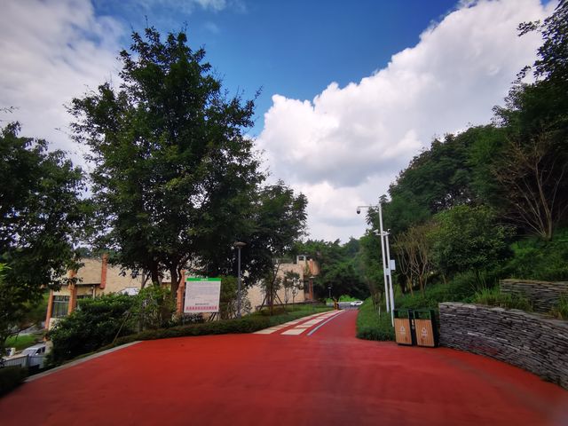 雨過天晴的自貢鳶山公園 雨過天晴的自貢鳶山公園