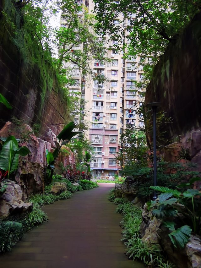 雨過天晴的自貢鳶山公園 雨過天晴的自貢鳶山公園