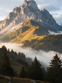 青西郊野公園親子賞秋水杉林免費遛娃攻略