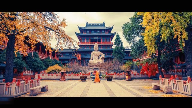 南京最禪意銀杏地毗盧寺私藏機位攻略