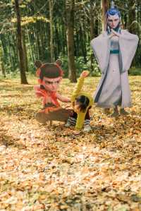 杭州出發1h,銀杏林農場是秋冬遛娃天花板