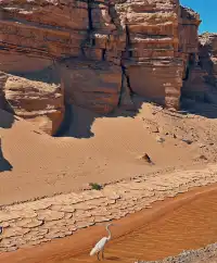 哈密大海道 神秘又浪漫