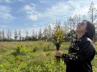 走進一片世外桃源~東灘濕地好美