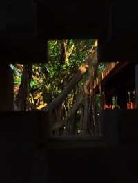 廣州4號線藏了一座「魔幻莊園」闖進末日科幻片 人少景美!