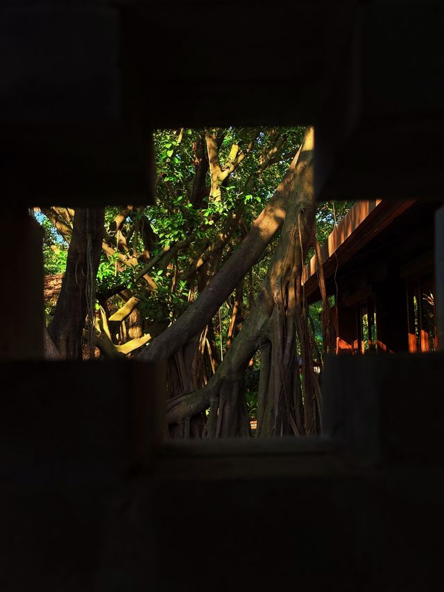 廣州4號線藏了一座「魔幻莊園」闖進末日科幻片 人少景美! 廣州4號線藏了一座「魔幻莊園」闖進末日科幻片 人少景美!