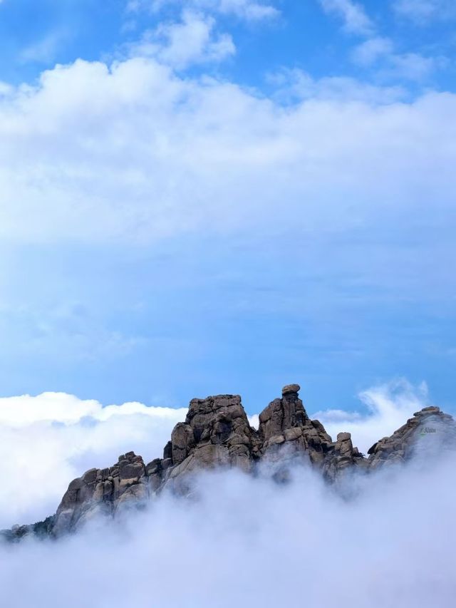 山海仙境崂山，包車自在暢遊