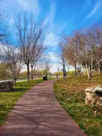 官宣石家莊的封神秋色在這裡