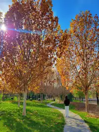 官宣石家莊的封神秋色在這裡