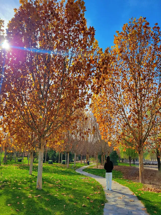 官宣石家莊的封神秋色在這裡