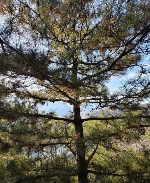 京娘湖寶藏打卡地!碧波青山美如畫 京娘湖寶藏打卡地!碧波青山美如畫