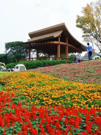 深圳地鐵直達的彩虹花海!這個公園太寶藏