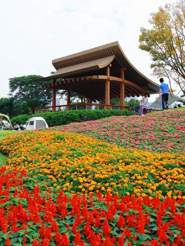 深圳地鐵直達的彩虹花海!這個公園太寶藏 深圳地鐵直達的彩虹花海!這個公園太寶藏