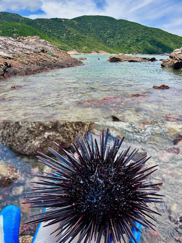 廣東私藏玻璃海!開車直達不登島,趕海輕鬆爆桶超嗨 廣東私藏玻璃海!開車直達不登島,趕海輕鬆爆桶超嗨