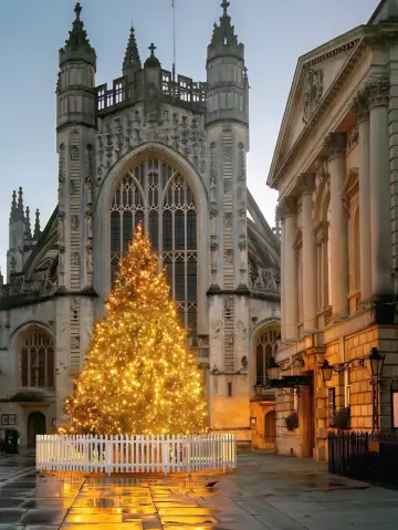 크리스마스 시즌의 바스🎄