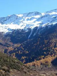 四姑娘山|此刻,追到了川西的絕美秋景!