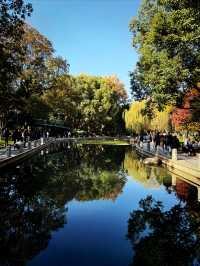 都市中的秋日詩篇