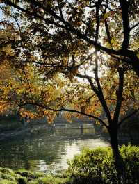 長椅湖畔油畫時光