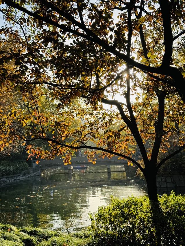 長椅湖畔油畫時光 長椅湖畔油畫時光