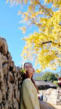 推薦溫州周邊賞銀杏的好去處