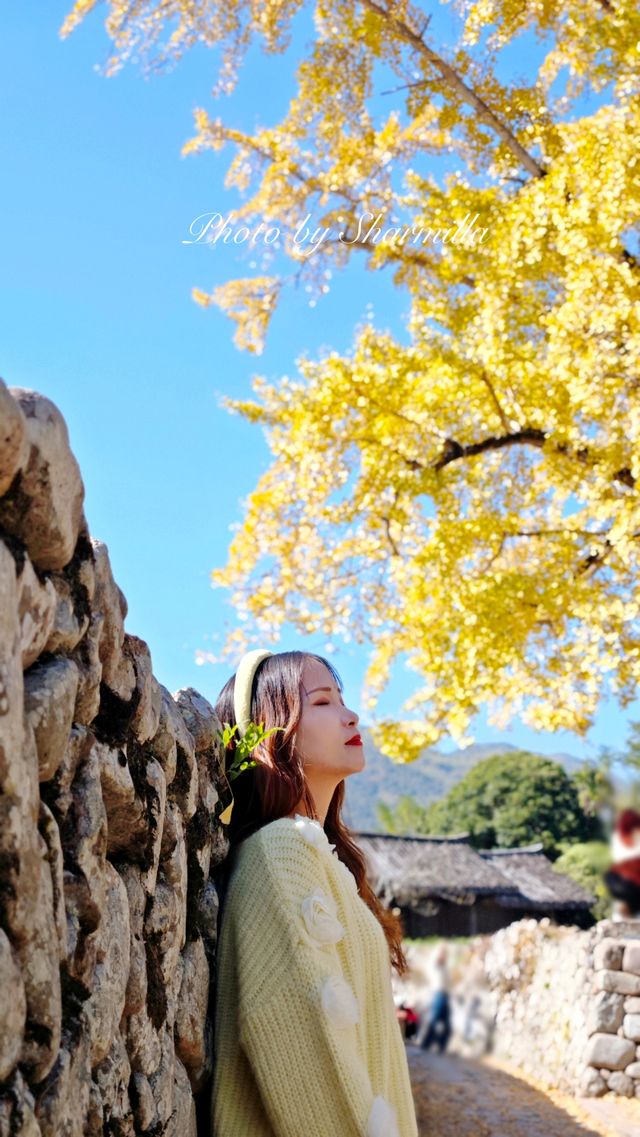 推薦溫州周邊賞銀杏的好去處 推薦溫州周邊賞銀杏的好去處