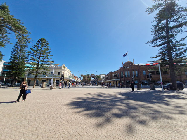 Surfing History with Scenic Views at Manley Ocean Beach Surfing History with Scenic Views at Manley Ocean Beach