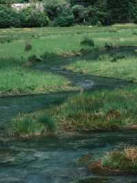 九寨溝歸來不看水,這裡的秋天美到詞窮!