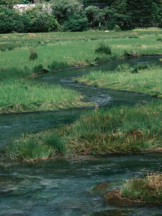 九寨溝歸來不看水,這裡的秋天美到詞窮! 九寨溝歸來不看水,這裡的秋天美到詞窮!
