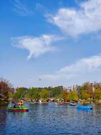 超全攻略!冬日共青森林公園賞秋絕了