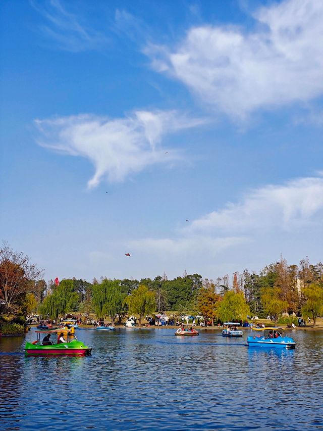 超全攻略!冬日共青森林公園賞秋絕了 超全攻略!冬日共青森林公園賞秋絕了