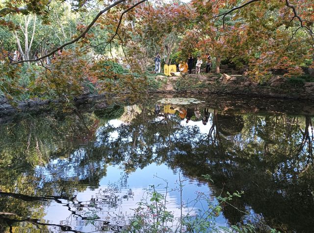 小橋流水古風祕境