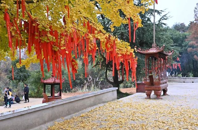 宋山煥新回歸！宜昌周邊爬山吸氧好去處
